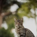 반려동물과함께하는#설렘 이미지