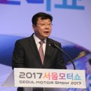 2017 서울모터쇼 카카오 검색결과