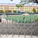 금정초등학교 뒤 이미지