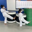 태권한류 이미지