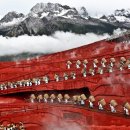 정인목장 이미지