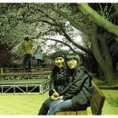 여좌천거리 이미지