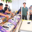 영동축제관광재단 이미지