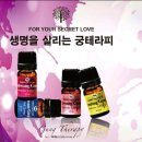 왕궁에너지 이미지