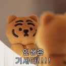 파머스아시아마켓 | 1박 2일 여행/비엔나 1박 2일 여행/레지오젯 후기/유럽 저가항공과의 눈치게임/야간 버스 후기/특수...