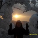 꿈의궁전 이미지