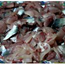 해뜨는바다펜션 이미지