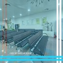 양이비인후과의원 이미지