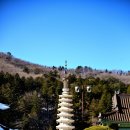 동구농장 이미지