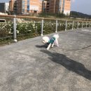 반창꼬동물병원 이미지