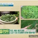 아삭아이스 이미지