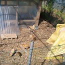 변산농장 이미지