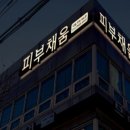 피부채움