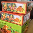 1/2 풍선테니스&amp;와상 개별활동 이미지
