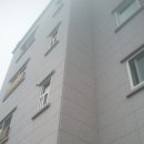 상지세탁소 Daum카페