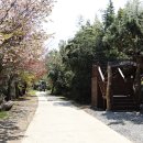 황골해변 이미지