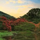 명옥헌원림2(입구) 이미지