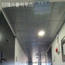디에스풀하우스 네이버블로그