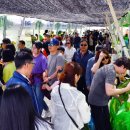 정선읍 공설운동장 이미지