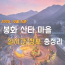 봉화군청 | [2025년 12월 기준] 봉화 산타마을 실시간 정보｜야경 시간·주차·복장 주의사항 총정리