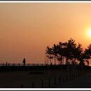 망상오토캠핑리조트 이미지