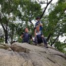 엘림전설주 | 한남정맥 08구간 성주산(聖柱山 216.5) 200905