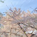 아도바이오(주) | 서초구 청년 미디어 크리에이터 7기 활동 후기(11주 과정)