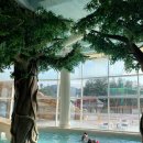 겨울 워터파크, 덕산 스플라스 리솜 G50 후기