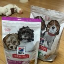 퍼피&피쉬 | [Hill's] 힐스 신제품 강아지사료 퍼피 스몰 앤 미니 초소형백 1.3kg 후기