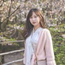 솔레르륀 이미지