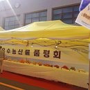 비사벌축제다녀온후기
