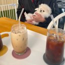 어몽독스 이미지