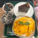 별님카페 | 사당 카페 거북이 망고빙수 솔직후기, 비주얼은 좋았지만 재방문은 글쎄