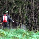 백로서식지 이미지