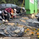 봉선화의원 이미지