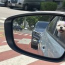 아찌살롱 이미지