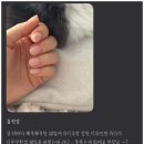 윰네일 이미지