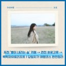 별이내리는집 | 포천 ‘별이 내리는 숲’ 카페 → 연천 호로고루 → 백학자유로리조트｜1박 2일 여행코스 완전정리