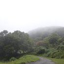 스토리텔링 역사 이미지