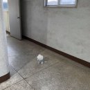 로제호텔 이미지