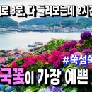 도향 이미지
