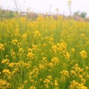 달서초등학교병설유치원 이미지