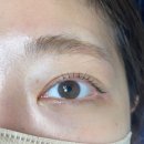 눈꽃속눈썹 | [ 부산 수영구 ] 남천동속눈썹펌 눈꽃 시그니처 펌 솔직 후기 #남천동속눈썹펌