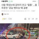 사람 죽었는데 강아지 안고 &#39;멀뚱&#39;…음주운전 &#39;강남 벤츠女&#39;에 공분 이미지