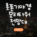 모리짐 | 도쿄 롯폰기 야경스팟 모리타워 전망대 후기 할인꿀팁