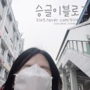 부지런히 (?) 써보는 3월의 첫번째 일상