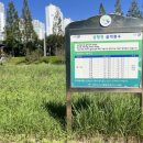 삼향천로 이미지