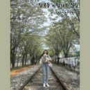 덕진-86 | 2025 전주 이팝나무 철길 개방 총정리｜팔복동 봄꽃 산책로 방문 후기