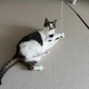 씨유 송우영화점 | 2026년 반가웡