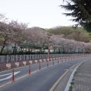 최진사댁셋째닭 이미지